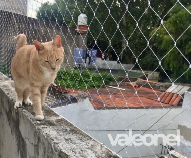 Redes Para Protección